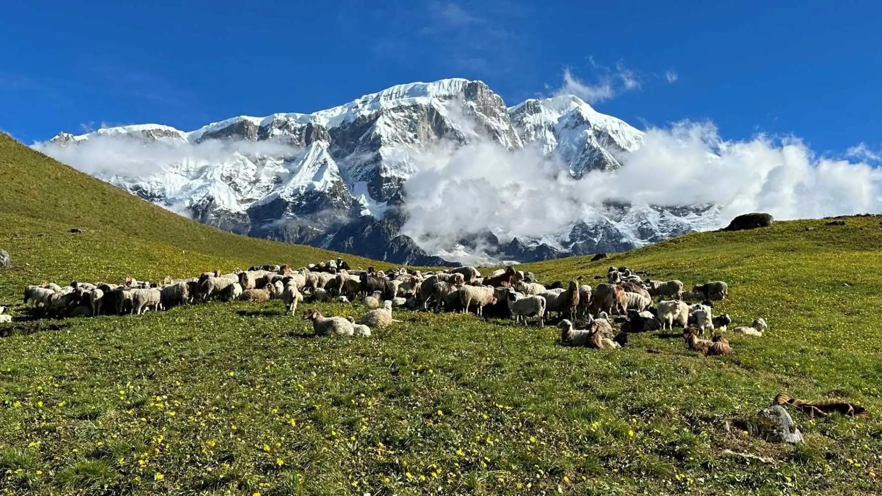 Kori Trek: A Must-Do Trekking Itinerary in 2025