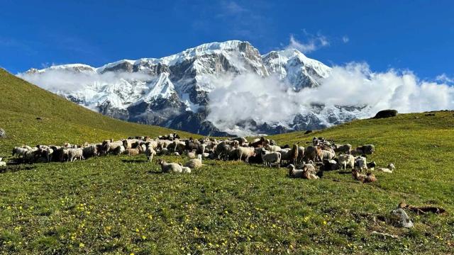 Kori Trek: A Must-Do Trekking Itinerary in 2025