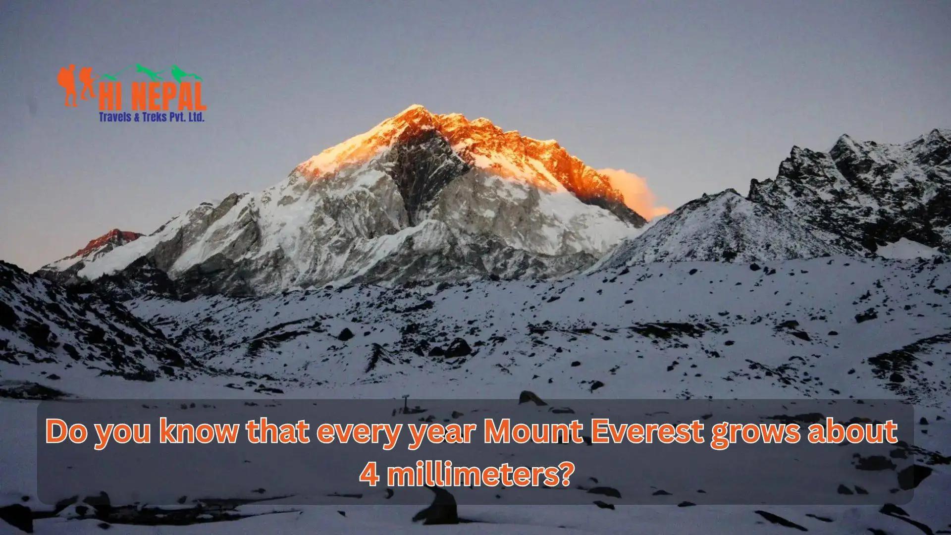 Top 10 Surprising Facts About Mount Everest that will Boost Your IQ