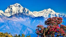 Ghorepani Poon Hill Trek: An Exploration of Tranquility