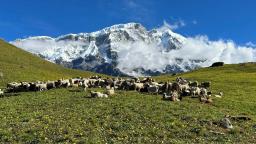 Kori Trek: A Must-Do Trekking Itinerary in 2025