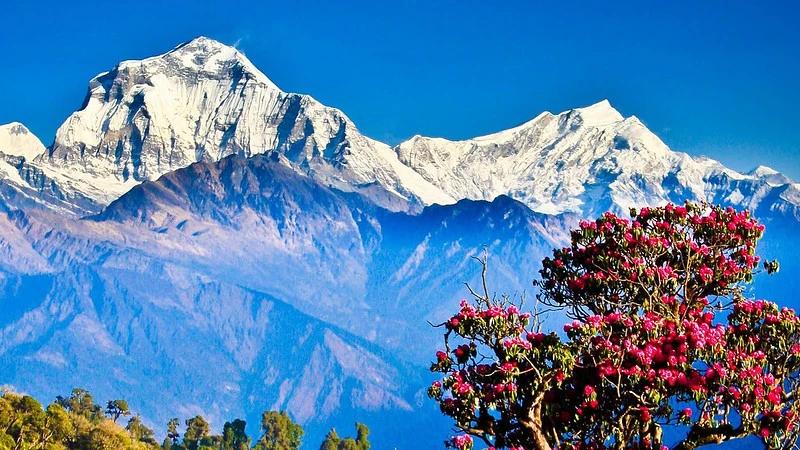 Poon Hill viewpoints for Annapurna region