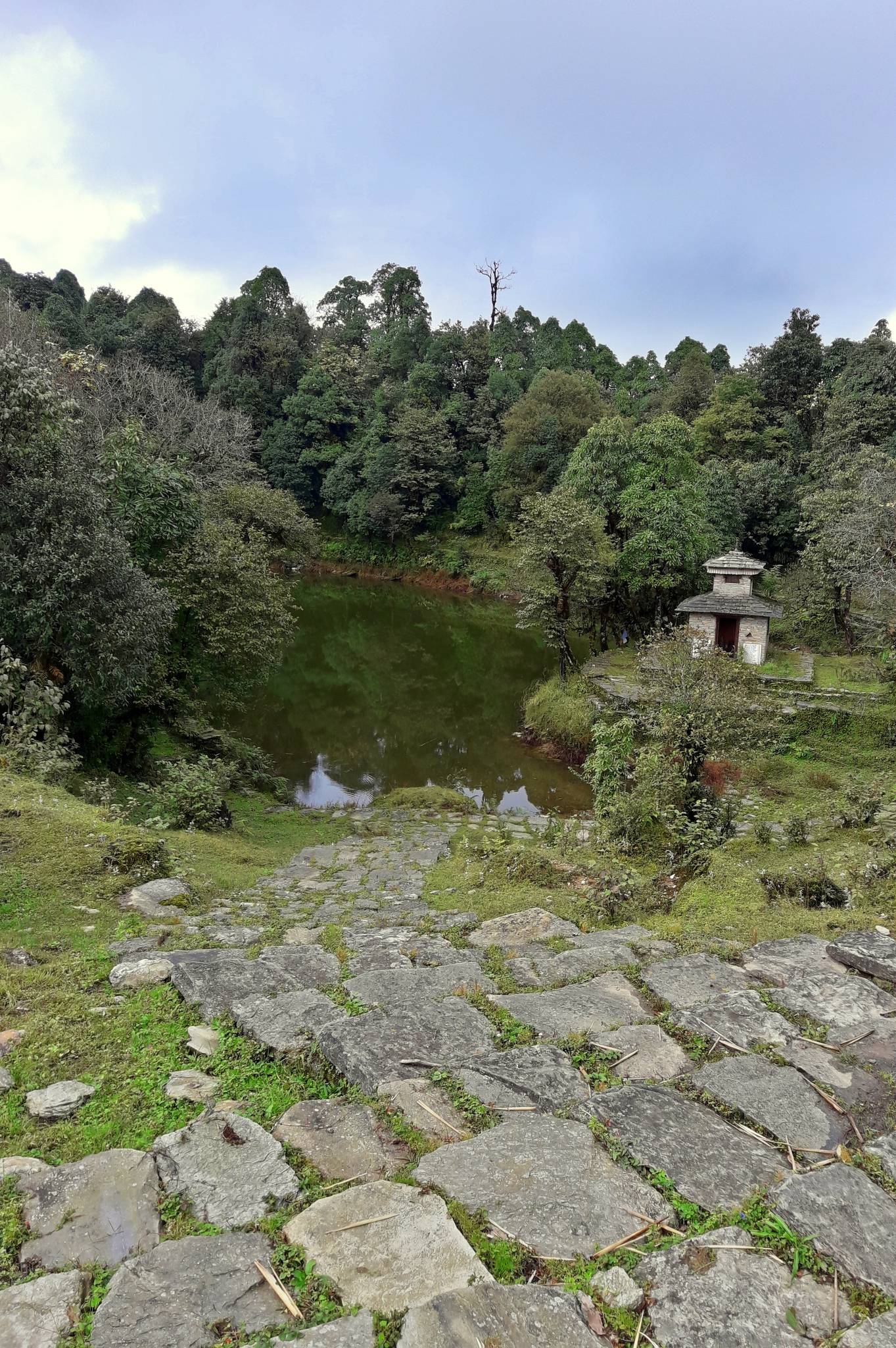 Panchase Trek 2026: The Best Short Pokhara Hike