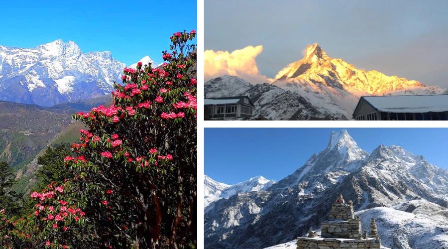 Mardi Himal Base Camp Trek in different Season