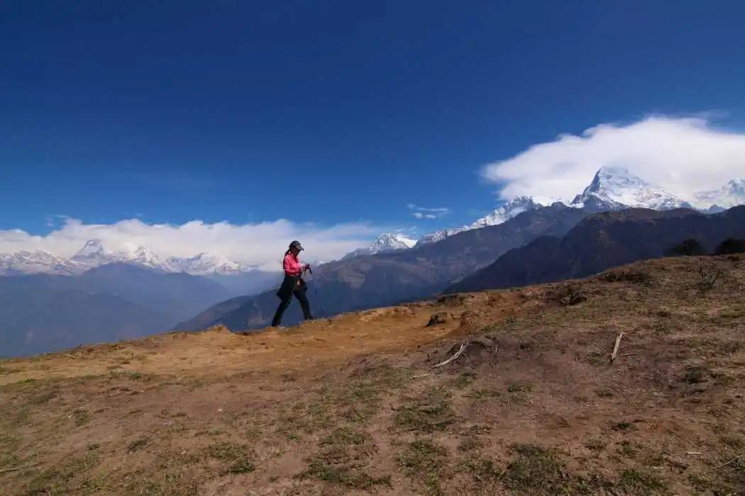 A woman hiking with trekking poles along a grassy ridge, with a panoramic view of the massive, snow-covered Annapurna mountain range under a deep blue sky behind her.